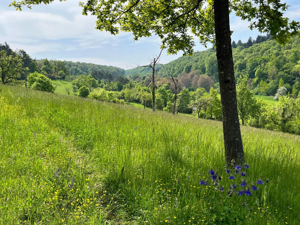 22-05-08 10-57-16 0758